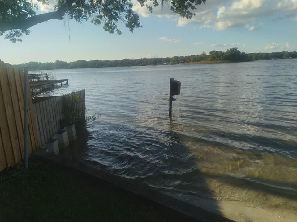 Tree and vegetation removal — Central FL — Custom Lakefronts and Tree Care LLC