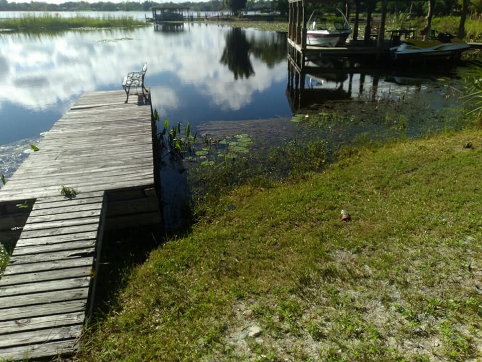 Shoreline enhancement — Central FL — Custom Lakefronts and Tree Care LLC