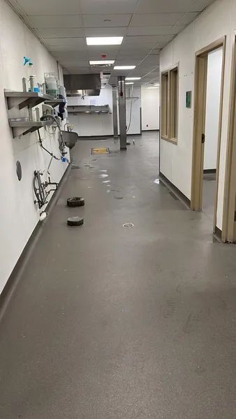 Hallway with gray floor, white walls, and equipment along the left. Open doors and windows on the right.