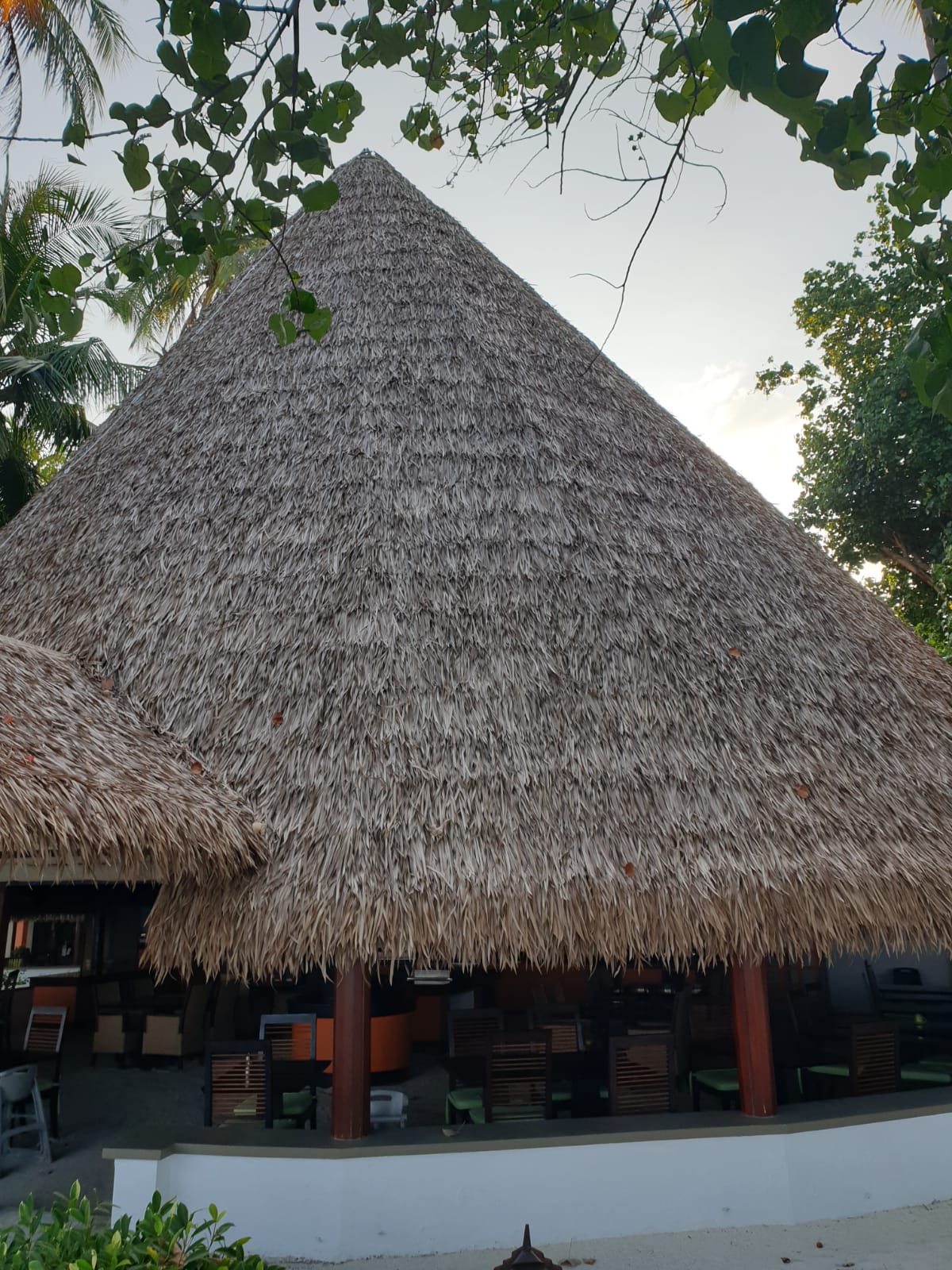 Thatch Roof