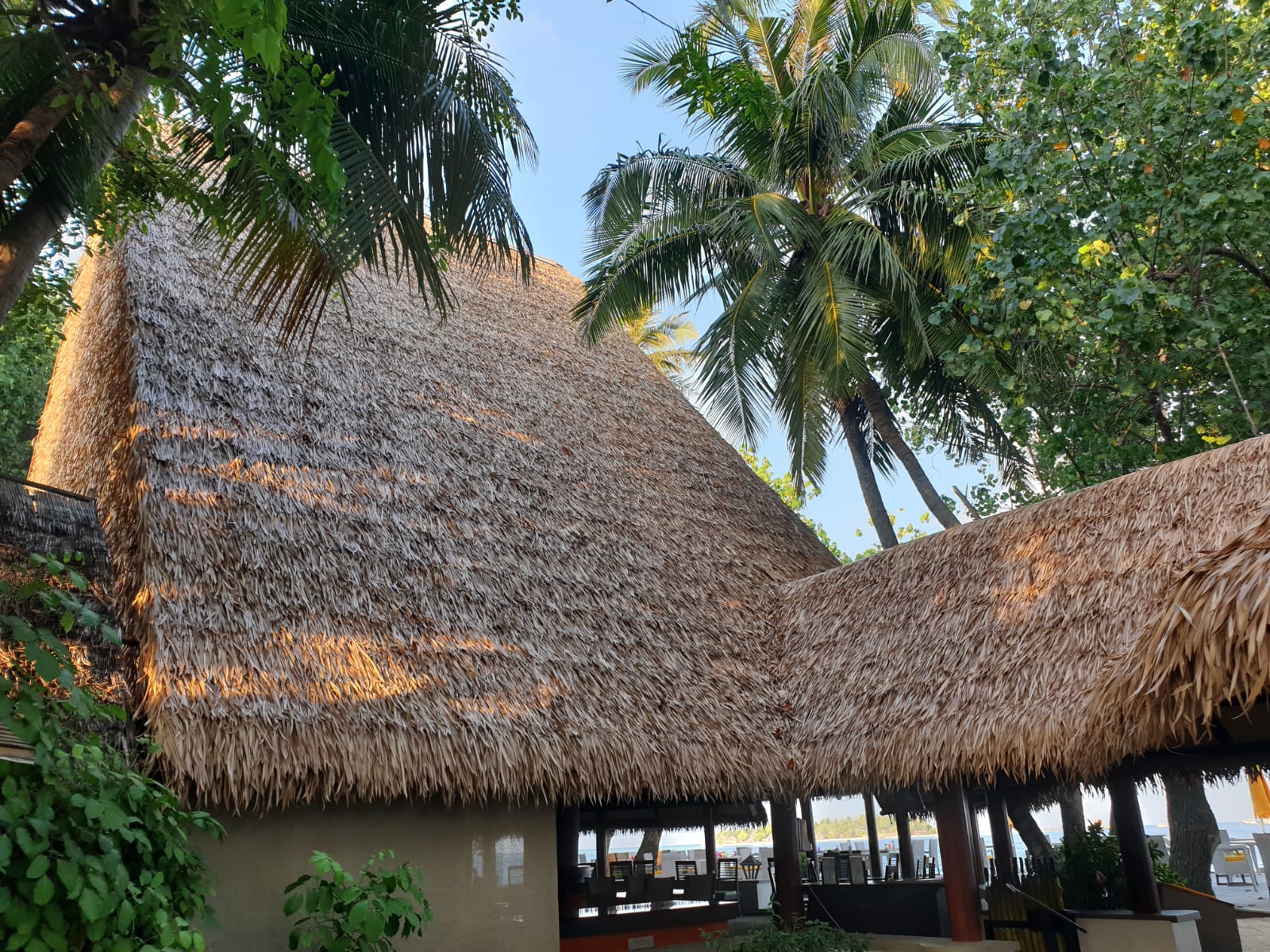 Thatch roof material 