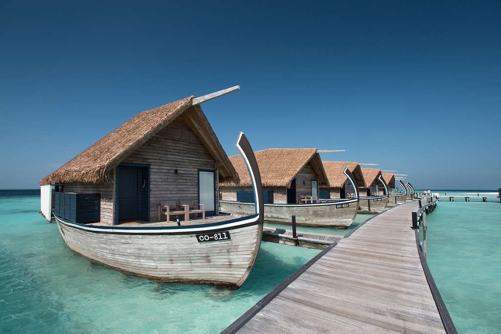 Thatch Roofing