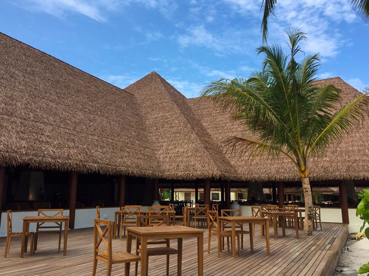 what is thatch roofing