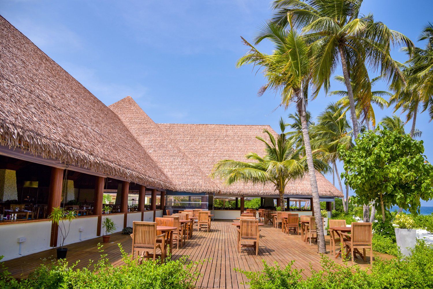 Fiber Reed is our synthetic thatch option that emulate & imitate traditional reed style thatch 2