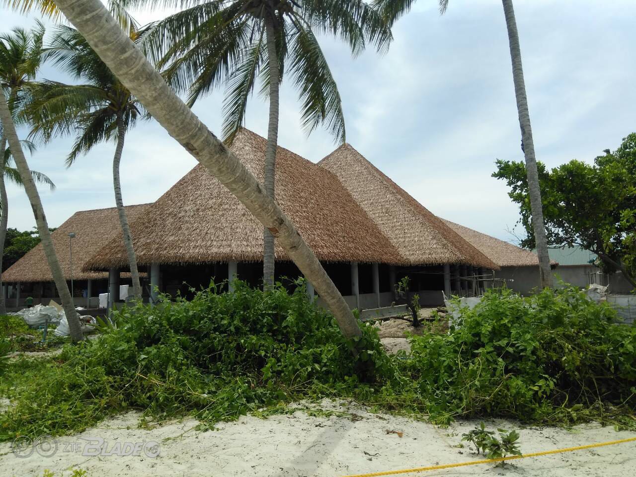 Thatch Roof