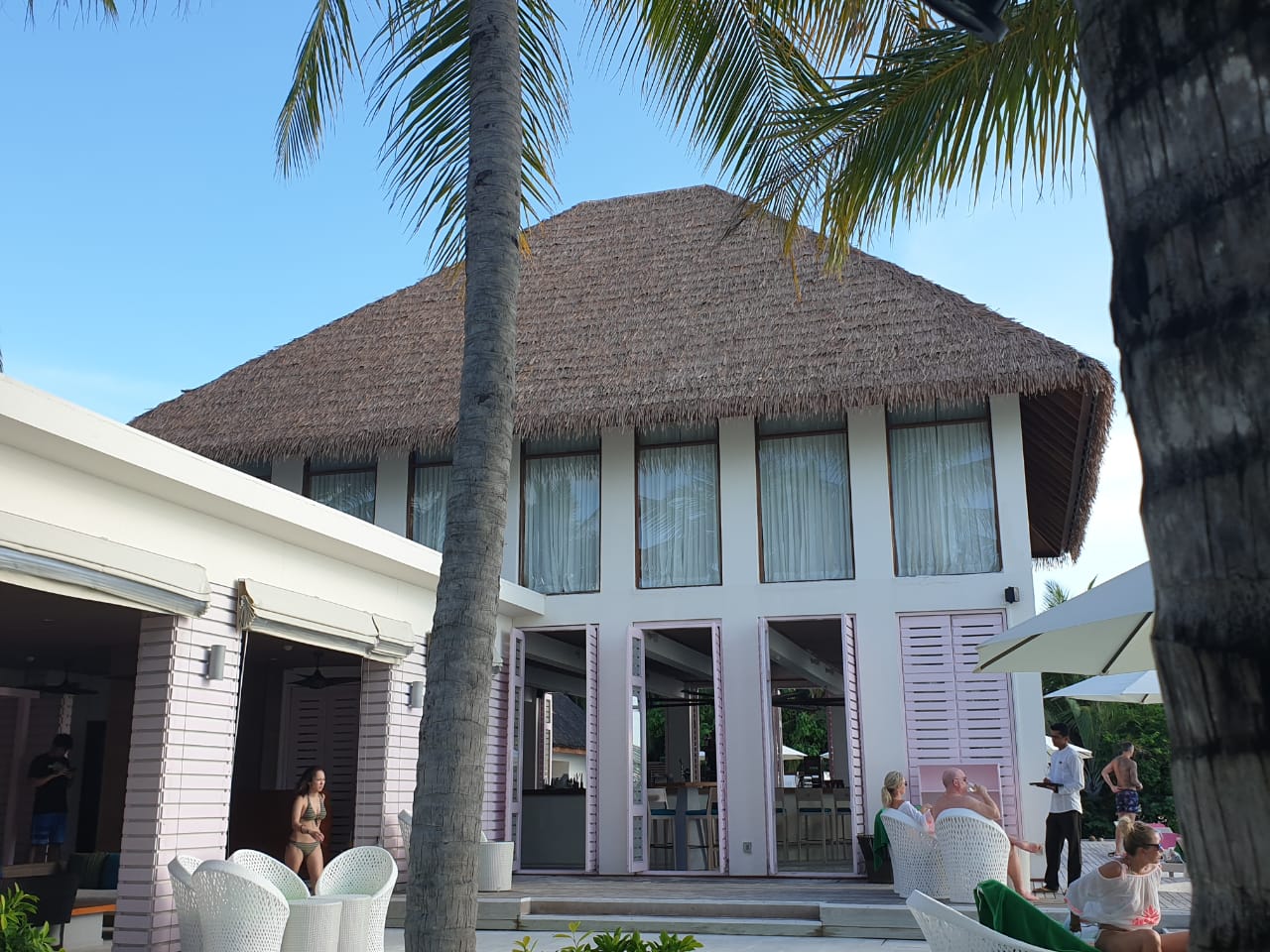 Synthetic Fiber Palm