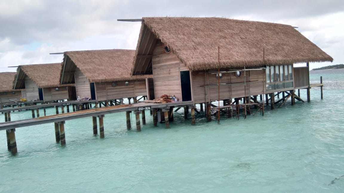 Synthetic Fiber Palm