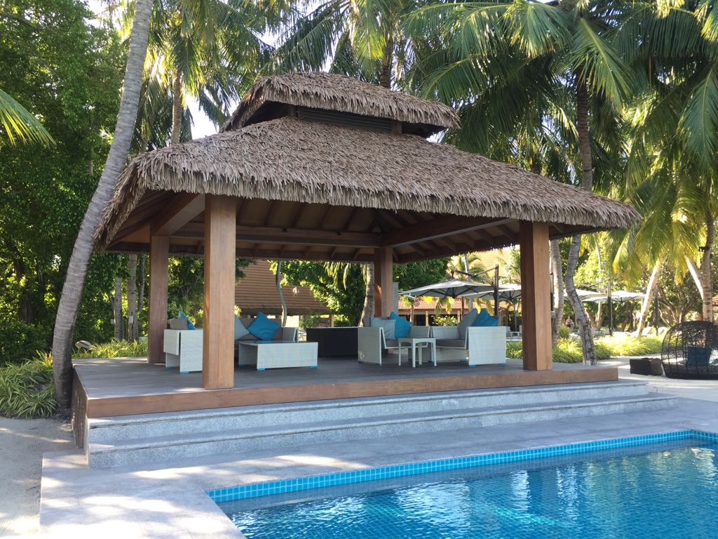 fiber palm and a pool