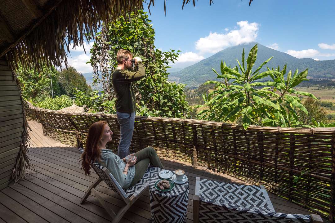 Synthetic Fiber Palm