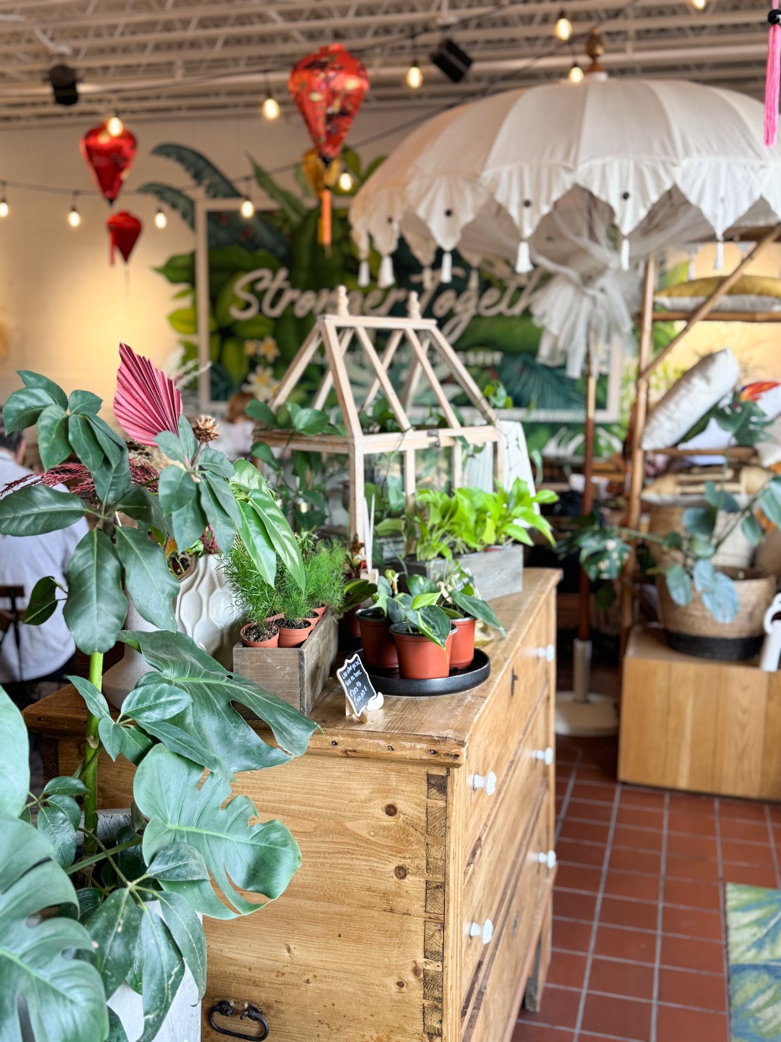 Welcoming space in Orlando.
Kiwi and fern, plant shop in Orland.