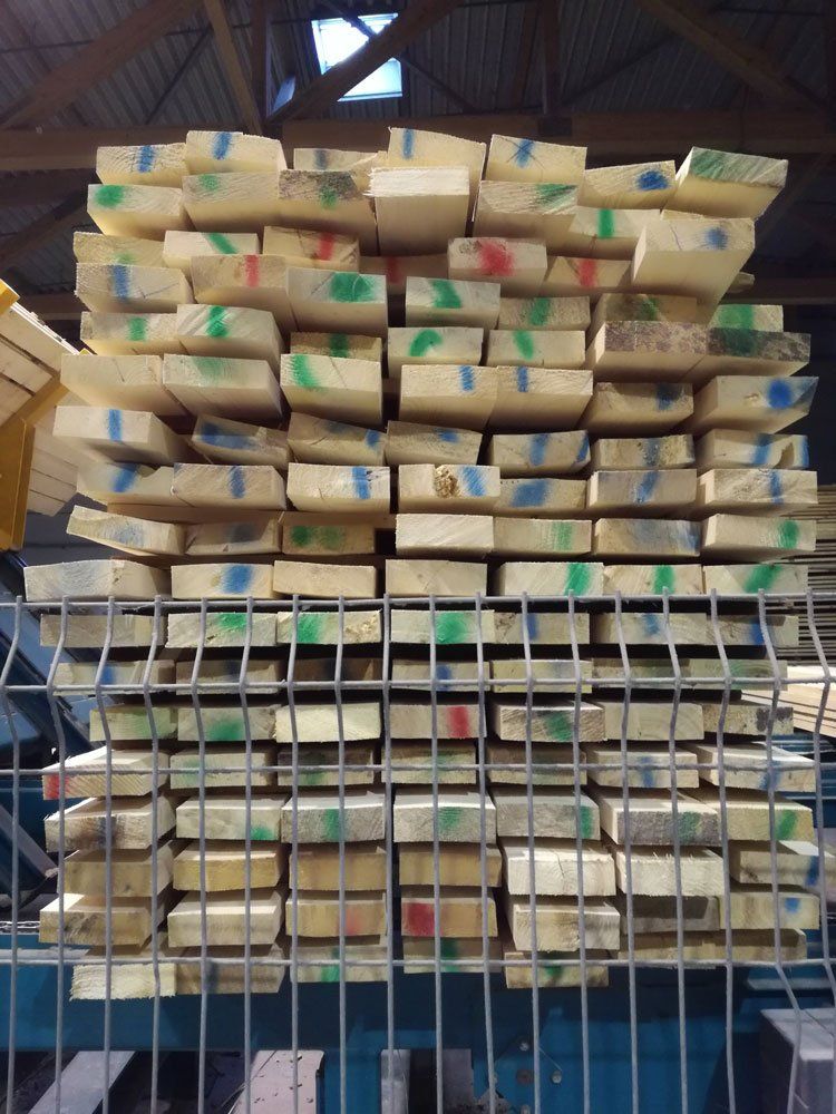 Netaisyklingo medienos išdžiovinimo priežasčių nustatymas