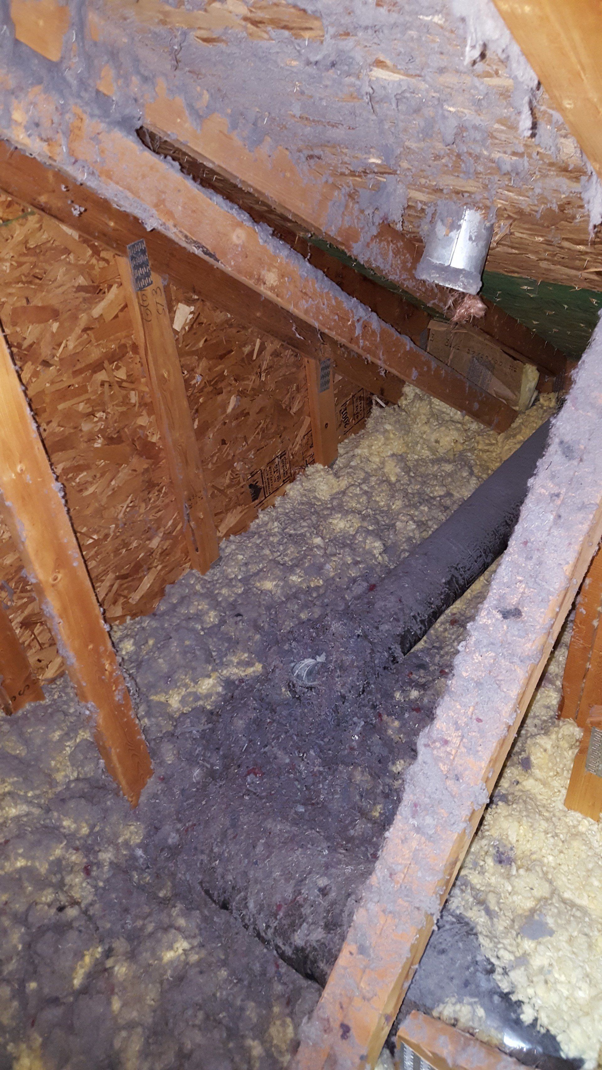 Attic Dryer vent repair