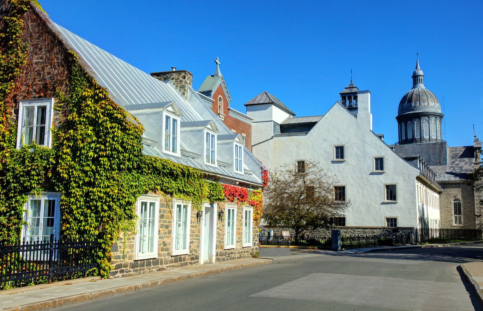 Une rangée de bâtiments avec du lierre poussant sur le côté