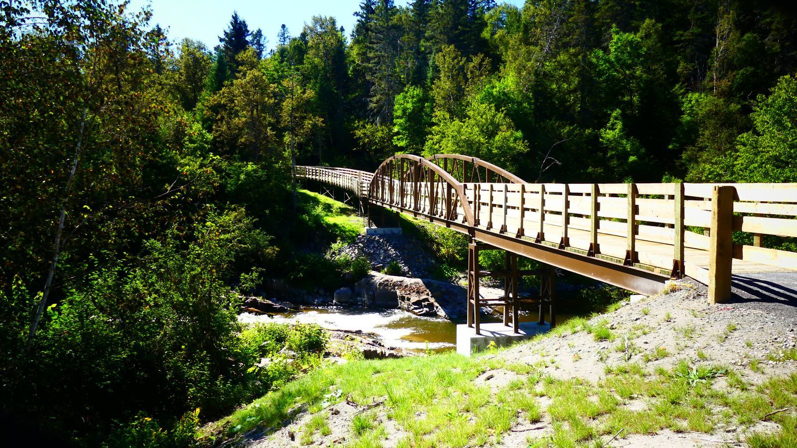 Un pont en bois au-dessus d'une rivière dans les bois