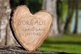 Un panneau en bois en forme de coeur est posé sur une branche d'arbre.