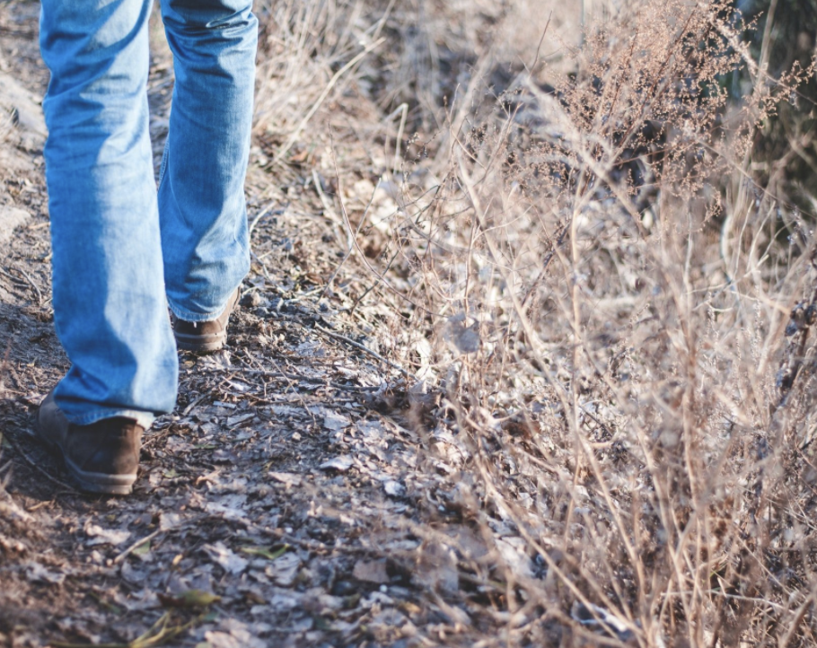 het verdwenen zelf, het ware zelf