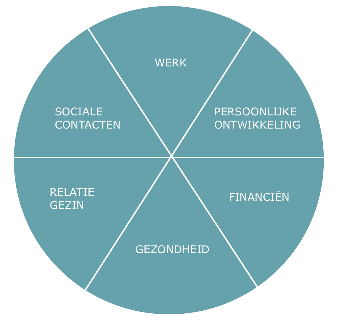levensgebied, leefdomein, stress, stressfactoren, waardoor krijg ik stress?