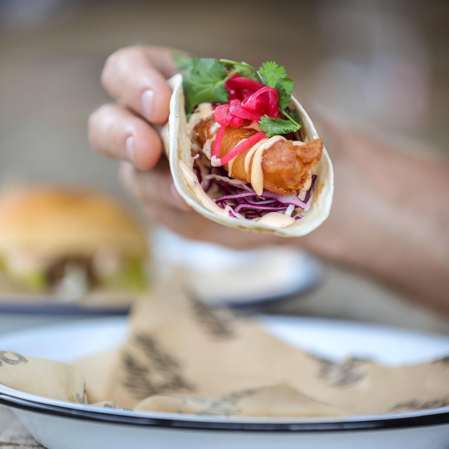 Person Holding a Fish Taco With Purple Cabbage,Cilantro, and Red Pickled Onions — Village Bicycle Noosa in Noosa Heads, QLD