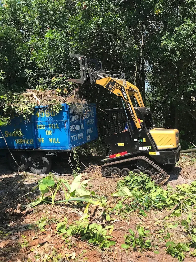 A yellow and black trackhoe loading brush into a blue dump truck.