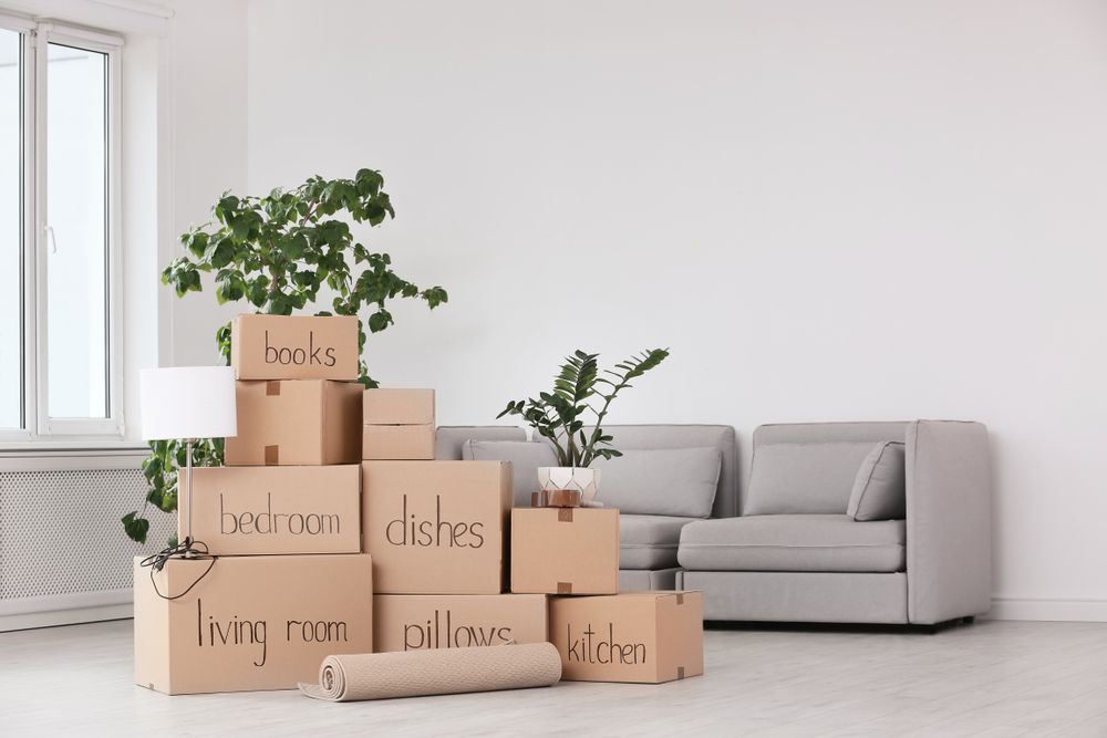 A living room filled with cardboard boxes and a couch.