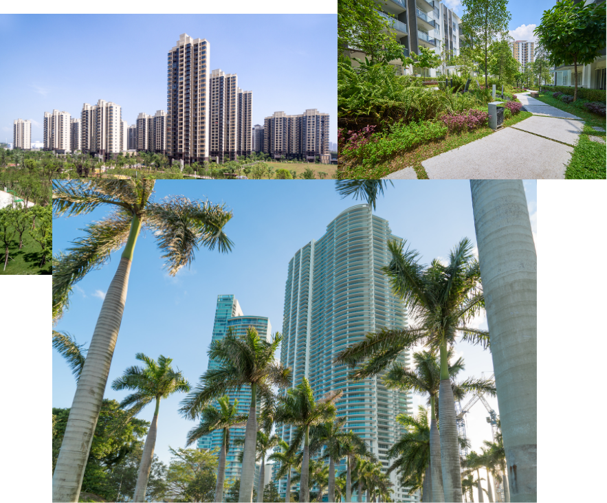 Modern high-rise apartment towers with palm trees and landscaped walkways in a sunny urban neighborhood