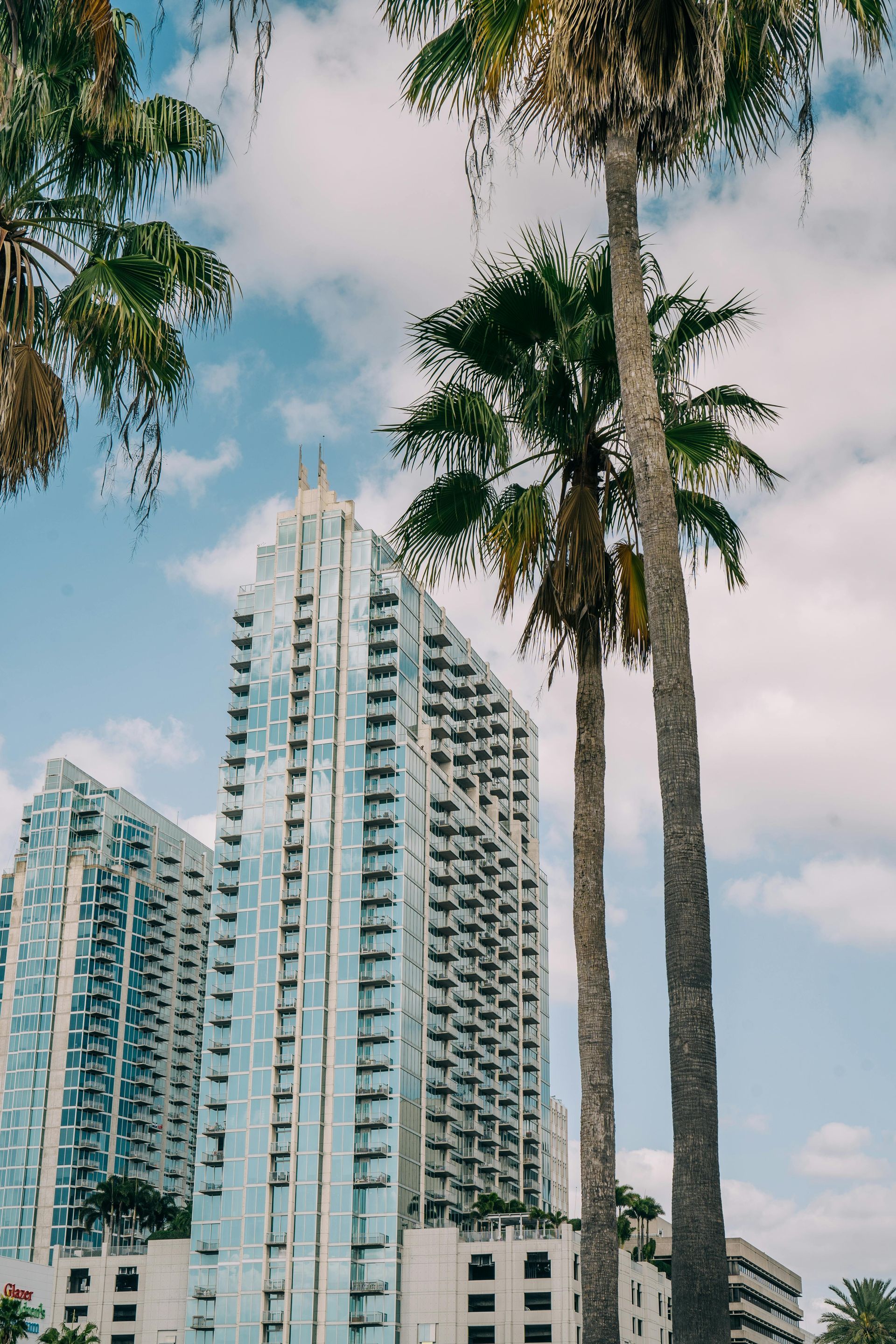 Tall white high-rise buildings framed by palm trees against a partly cloudy blue sky.