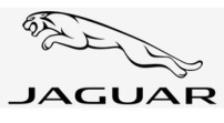 Um logotipo de onça preto e branco em um fundo branco.