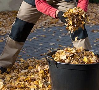 Lawn Cleanup — Cleaning Fallen Leaves  in Colorado Springs, CO