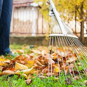 Affordable Services — Cleaning Leaves in Colorado Springs, CO