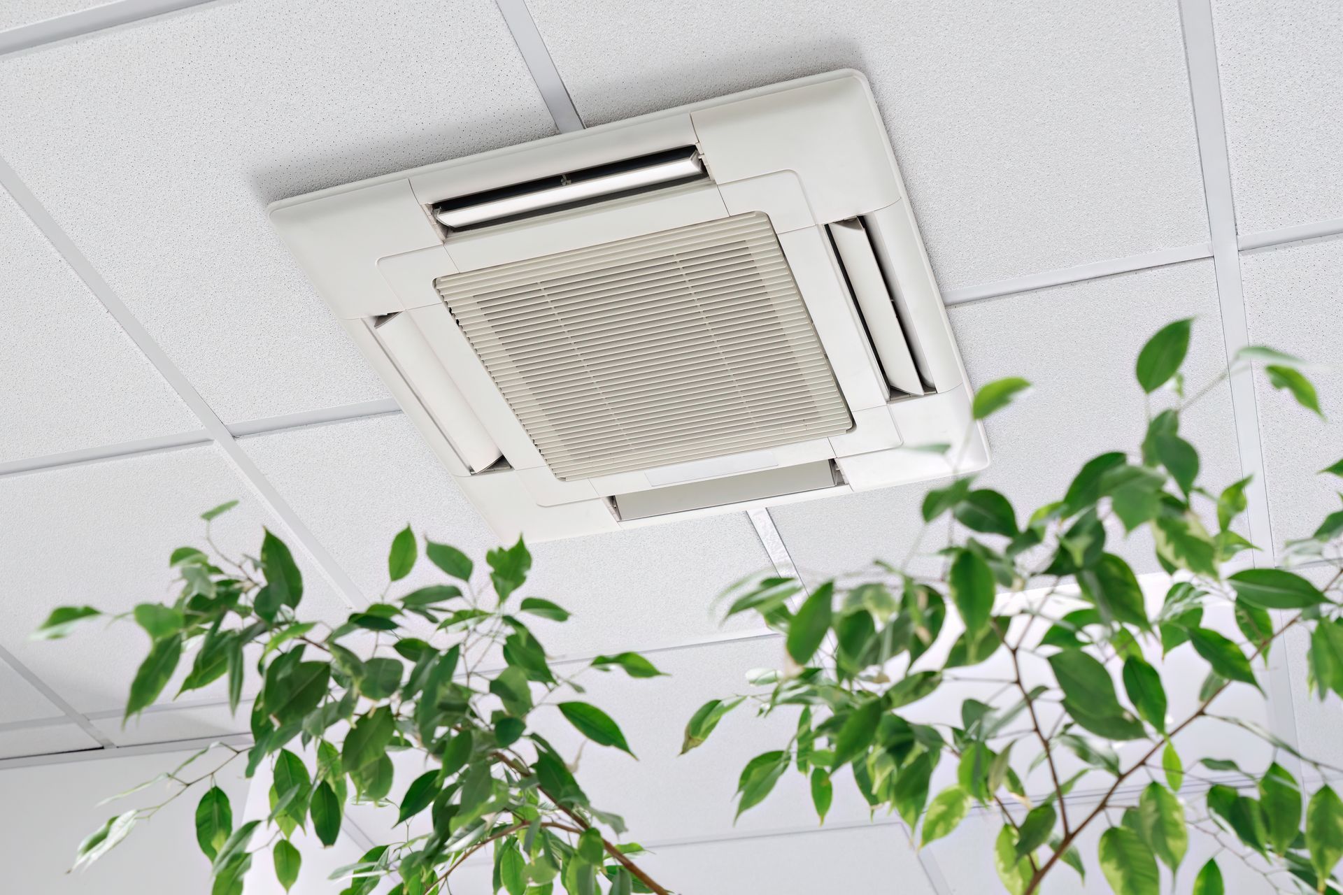 White ceiling cassette air conditioner above green plant leaves in an office-like room