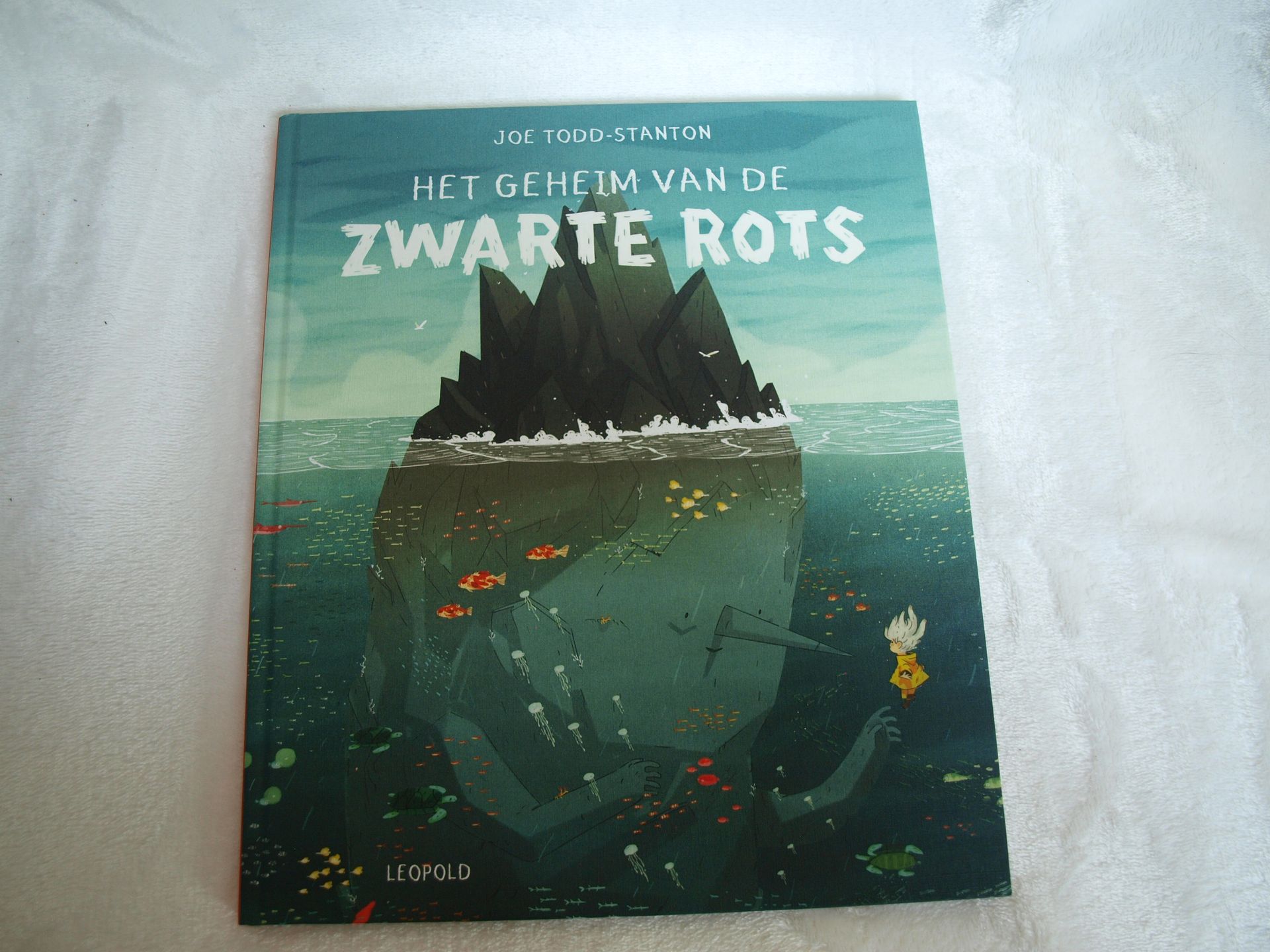 Kinderleesboek Het geheim van de zwarte rots