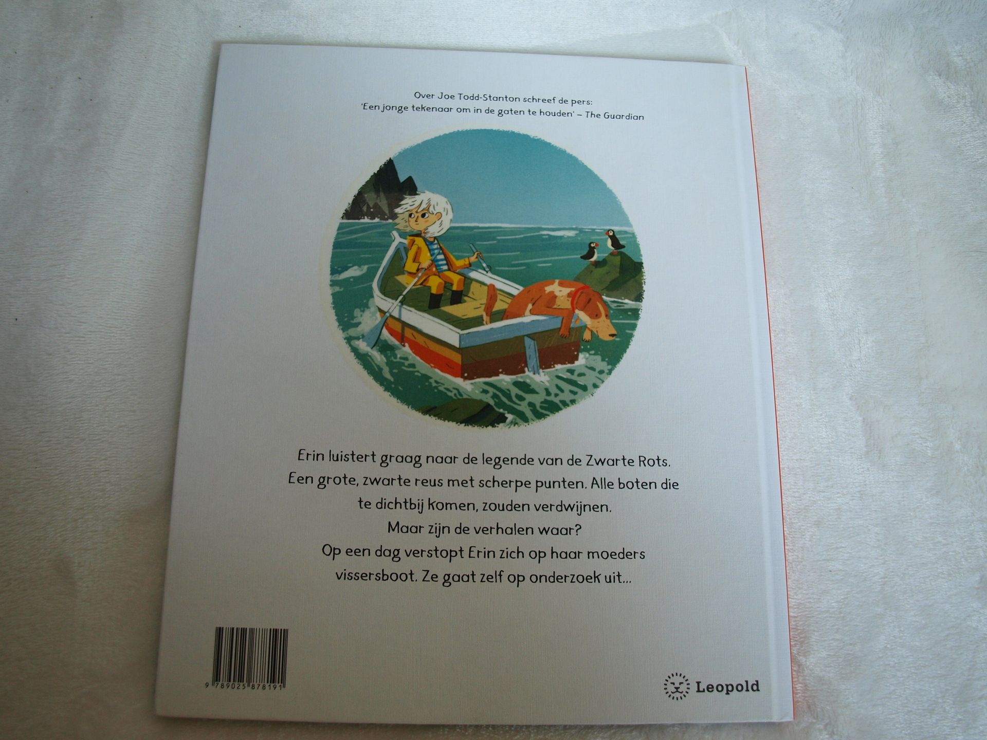 Kinderleesboek Het geheim van de zwarte rots