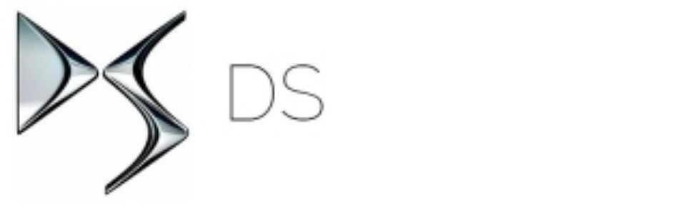 Logo DS