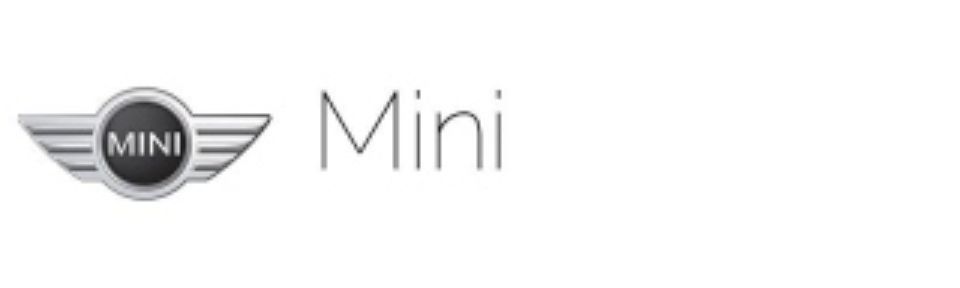 Logo Mini