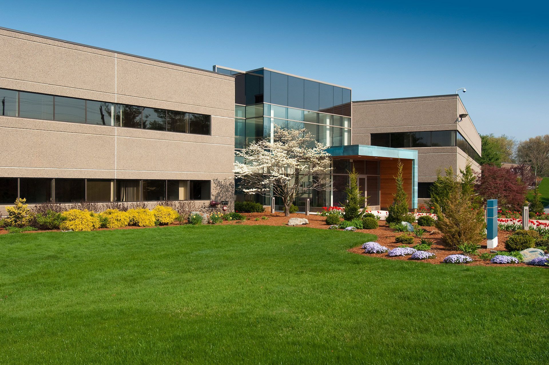 Modern office building with manicured lawn and spring flowers.