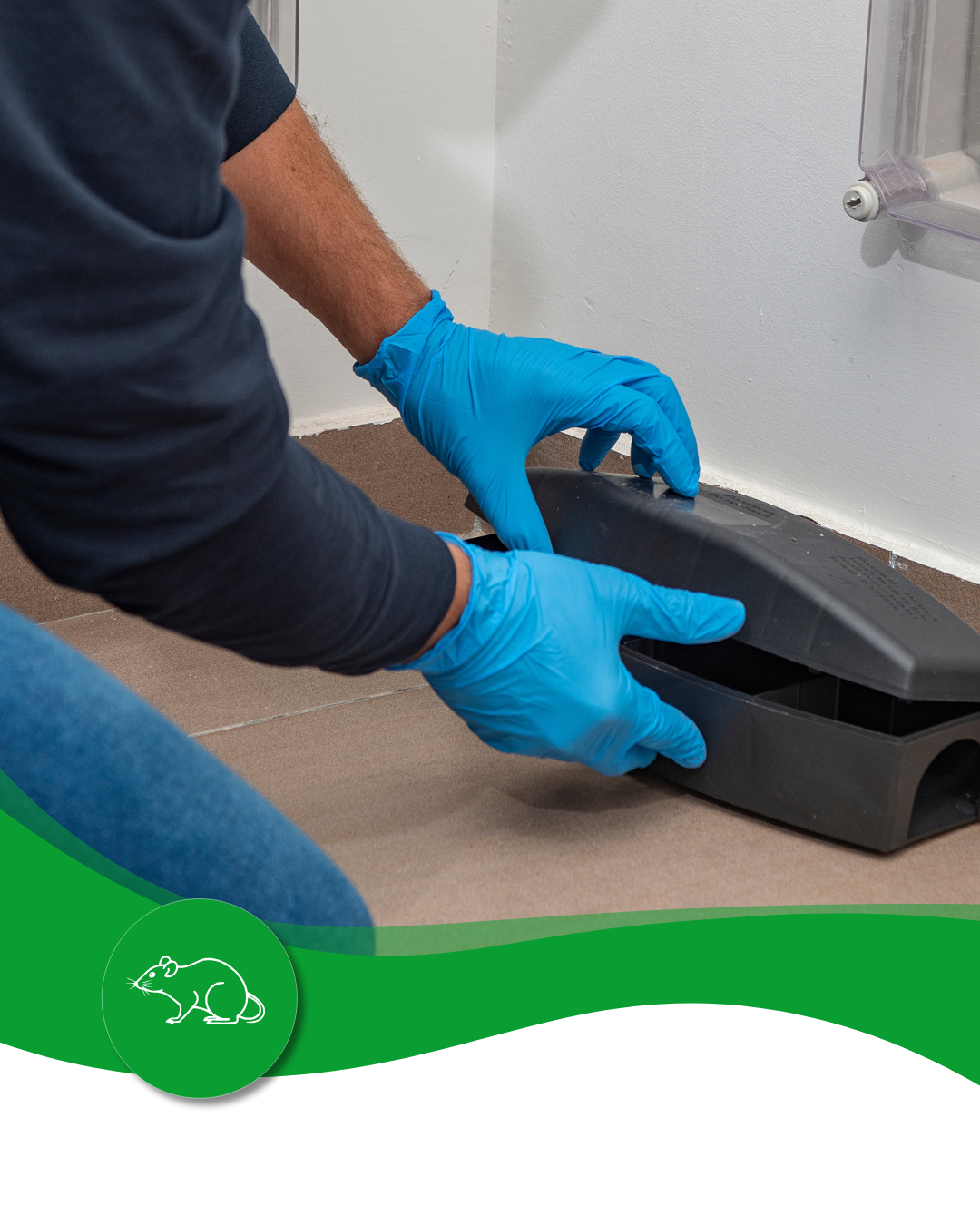 A person wearing blue gloves is using a mouse trap.