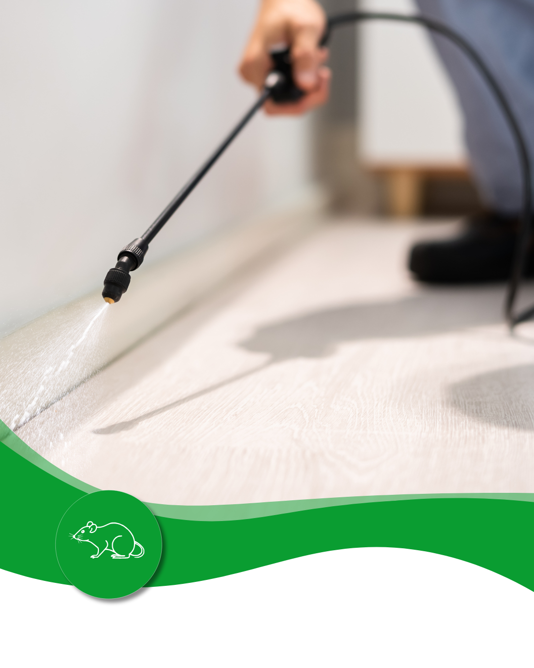 A person is spraying a carpet with a sprayer