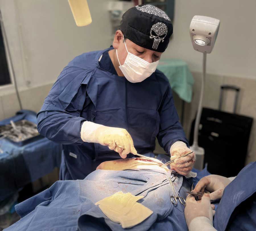 Médicos Veterinarios Pérez Villanueva