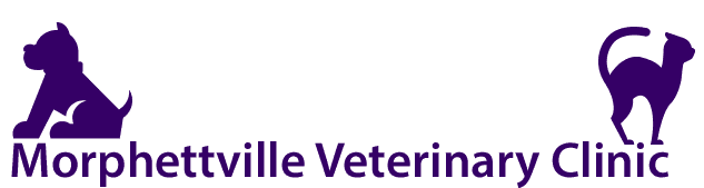 morphettville veterinary clinic logo