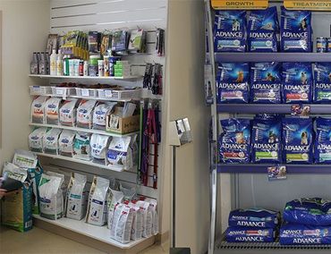 morphettville veterinary clinic our pet supplies at clinic