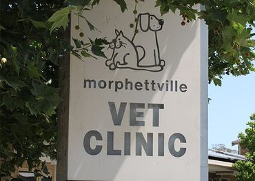 morphettville veterinary clinic stone signage