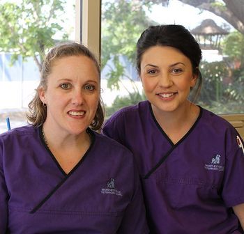 Our pet vaccination experts in Adelaide