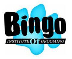 Learn The Fine Art Of Pet Grooming Bingo Institute Of Grooming