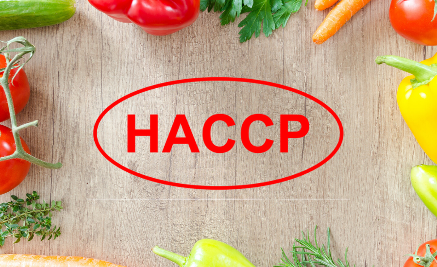HACCP haccp igiene alimenti Domenico Maccariello consulente del lavoro