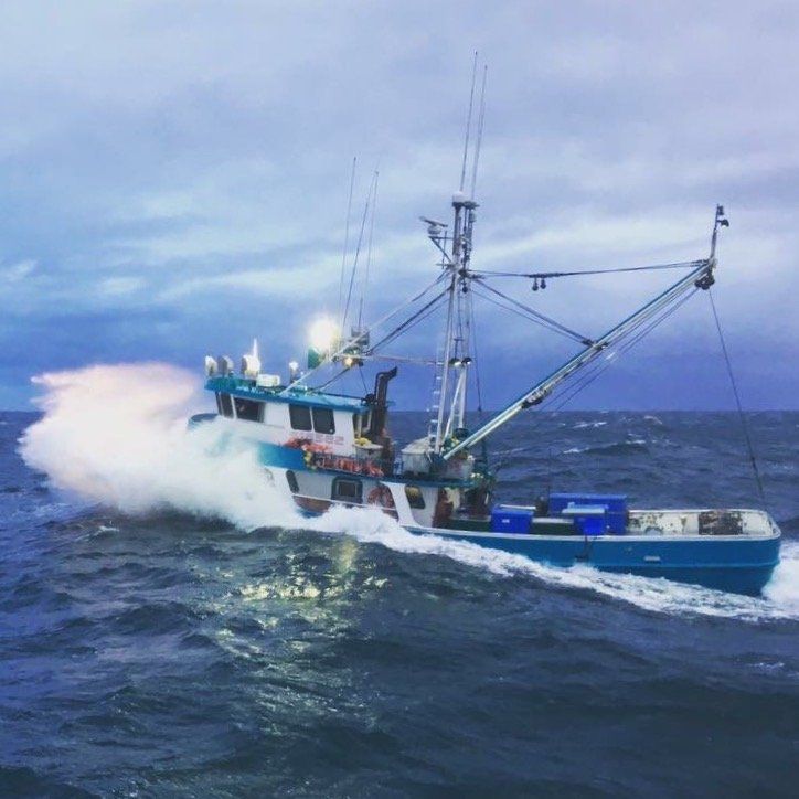 Our Photos Toledo, OR Curry Marine Supply