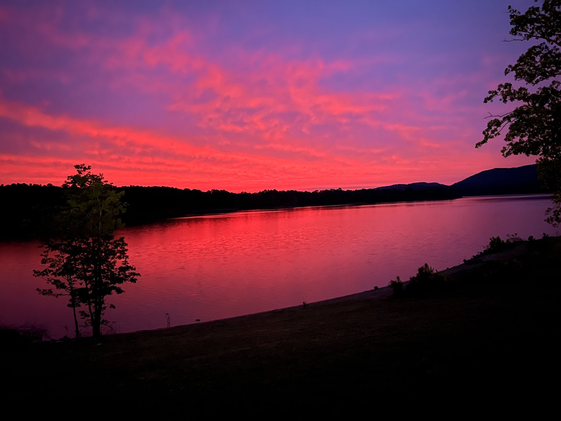 A sunset over a lake with a tree in the foreground