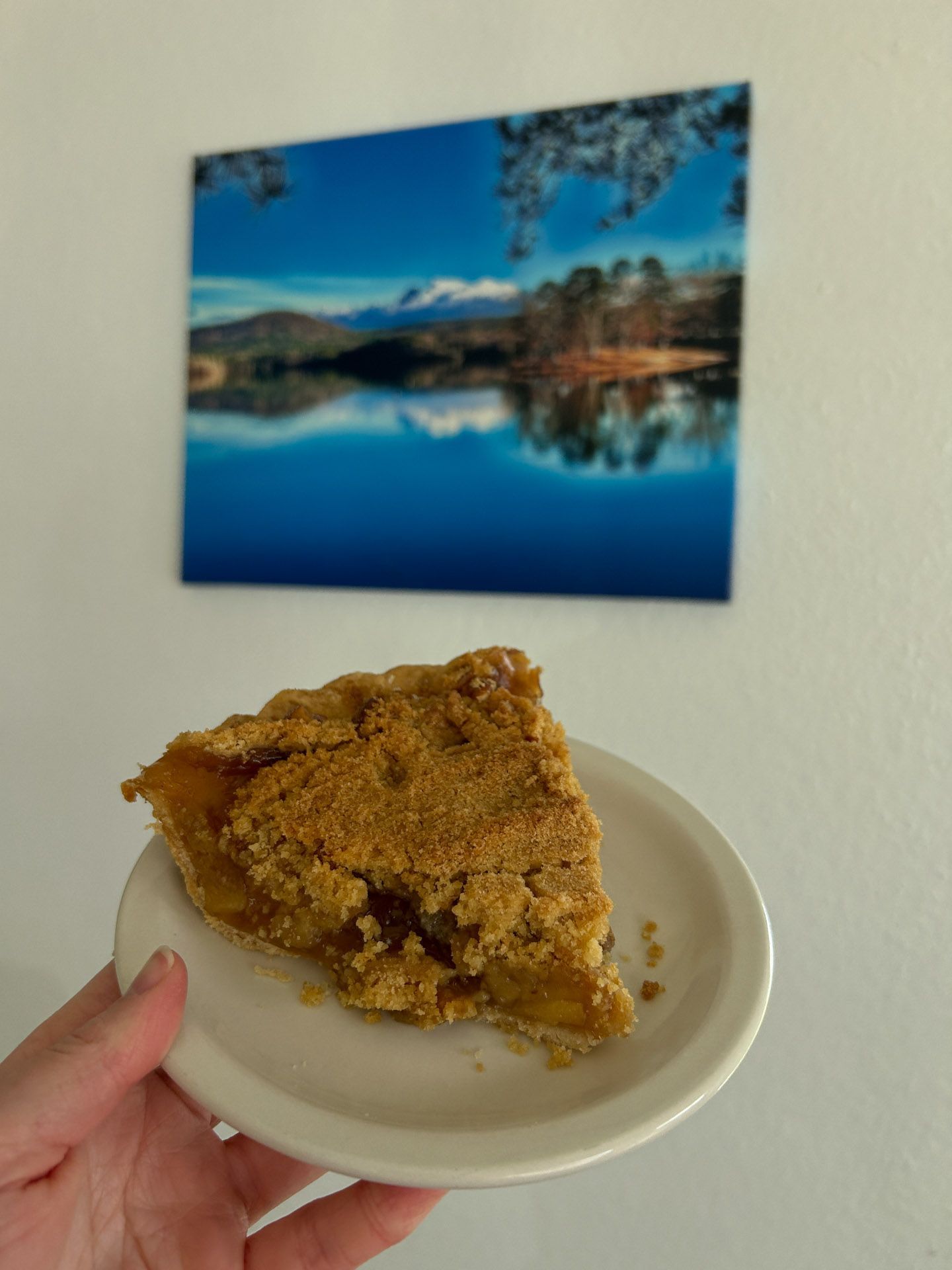 A person is holding a slice of pie in front of a painting of a lake