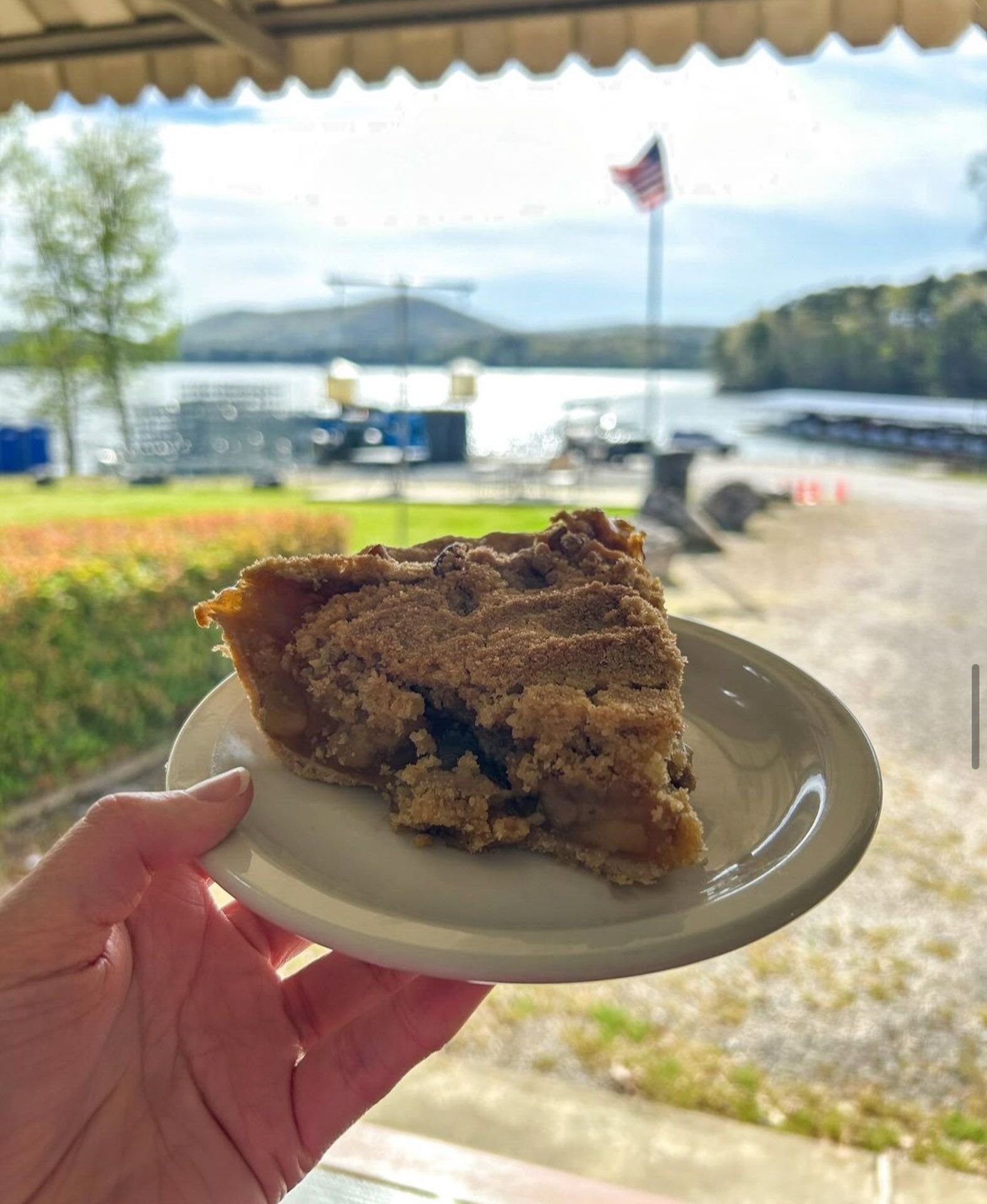 A person is holding a slice of apple pie on a plate.