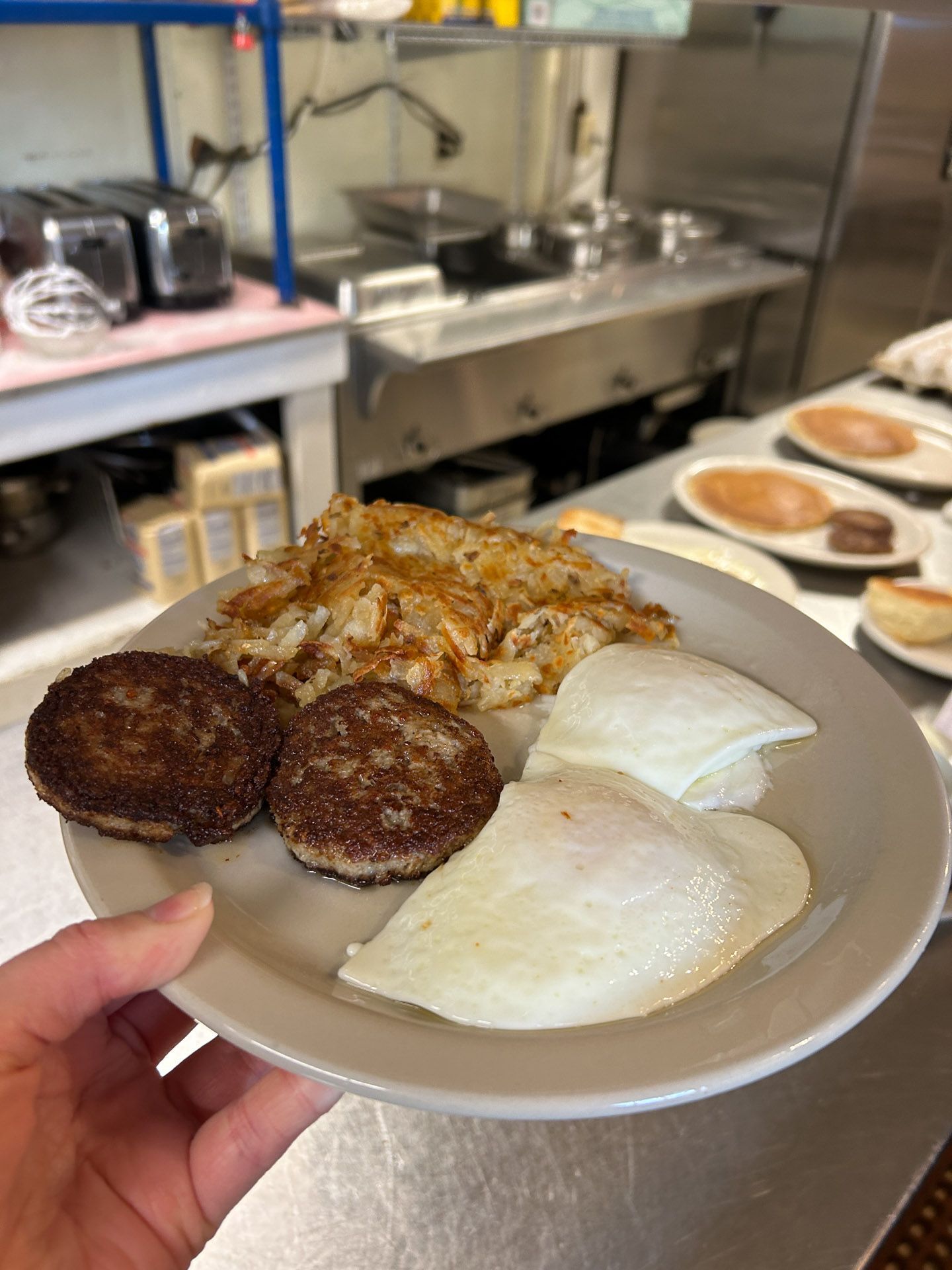 A person is holding a plate of food in a kitchen.