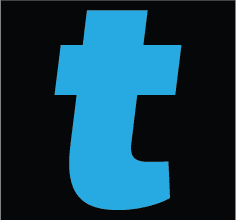 The Tintstitute Logo